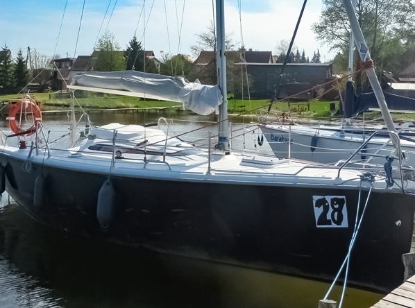 Port Tło dla Mew