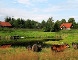 Siedlisko na Wygonie  