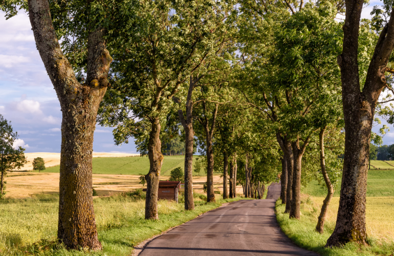 Mazurska Pętla Rowerowa