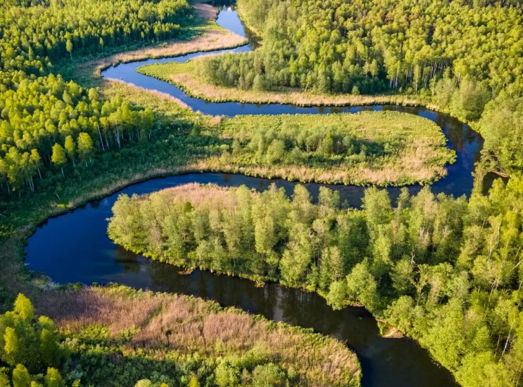 Spływy Kajakowe As-Tour