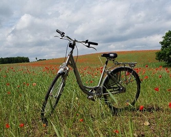 Wypożyczalnia rowerów i gokardów